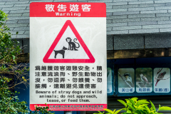Taiwan 2017 – East Coast Route 11/9