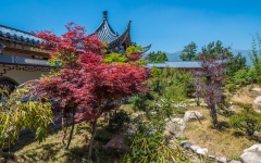 Kina 2014 – Dali – Erhai Lake Park