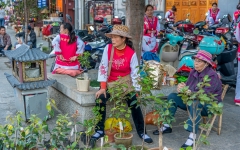 Kina 2014 – Dali Old Town
