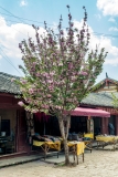 Kina 2014 – Lijiang – Baisha Village/Murals
