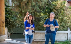 Kina 2014 – First Bend of Yangtze River/Stone Drum Town
