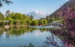Kina 2014 – Lijiang – Black Dragon Pool