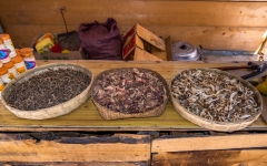 Kina 2014 – Lijiang-Shangri-la køretur