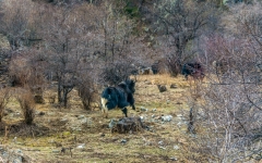 Kina 2014 – Shangri-la – Potatso Nationalpark