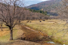 Kina 2014 – Shangri-la – Potatso Nationalpark
