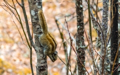 Kina 2014 – Shangri-la – Potatso Nationalpark