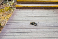 Kina 2014 – Shangri-la – Potatso Nationalpark