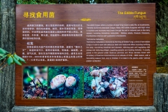 Kina 2014 – Shangri-la – Potatso Nationalpark