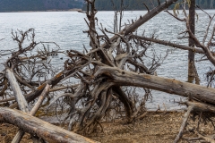 Kina 2014 – Shangri-la – Potatso Nationalpark