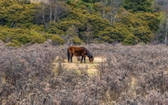 Kina 2014 – Shangri-la – Potatso Nationalpark