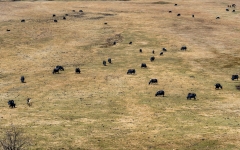 Kina 2014 – Shangri-la – Potatso Nationalpark