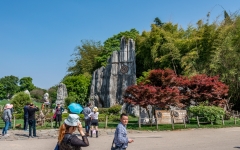 Kina 2014 – Kunming – Stenskoven
