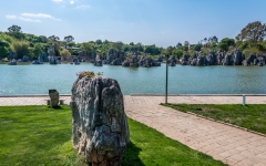 Kina 2014 – Kunming – Stenskoven