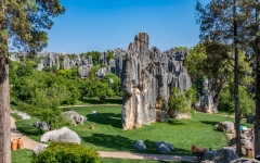 Kina 2014 – Kunming – Stenskoven