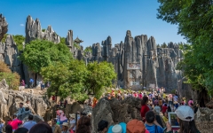 Kina 2014 – Kunming – Stenskoven