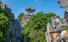 Kina 2014 – Kunming – Stenskoven