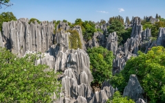 Kina 2014 – Kunming – Stenskoven