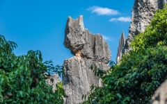 Kina 2014 – Kunming – Stenskoven