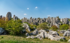 Kina 2014 – Kunming – Stenskoven