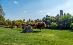 Kina 2014 – Kunming – Stenskoven