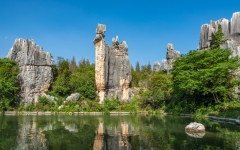 Kina 2014 – Kunming – Stenskoven
